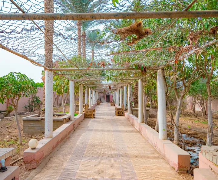ممشى البرجولا